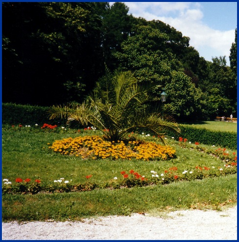 Photo of flowers in Stadtpark in Vienna, Austria