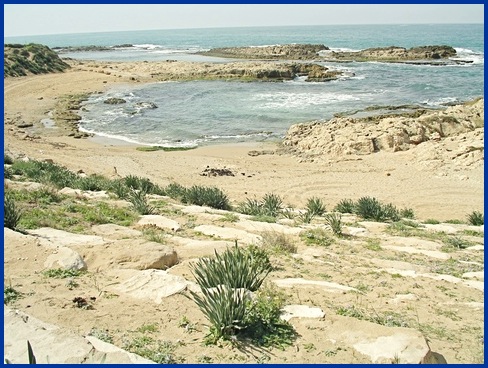 Looking south from Achziv Beach