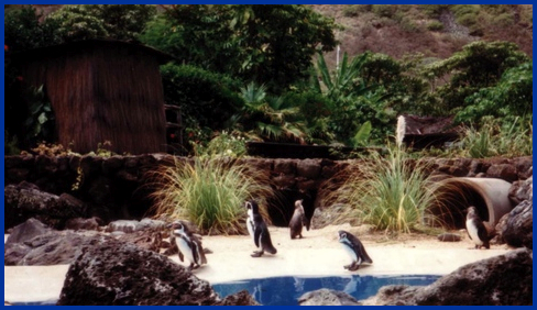 Sea Live Park, Hawaii