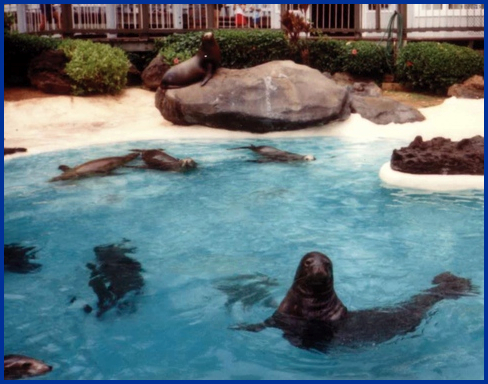 Sea Live Park, Hawaii