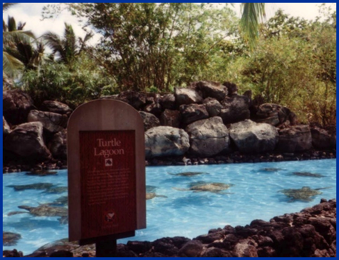 Sea Live Park, Hawaii