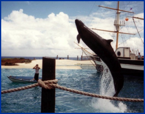 Sea Live Park, Hawaii