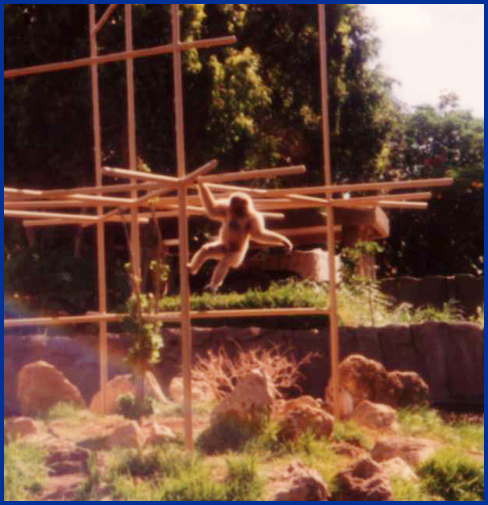 Honolulu Zoo, Hawaii