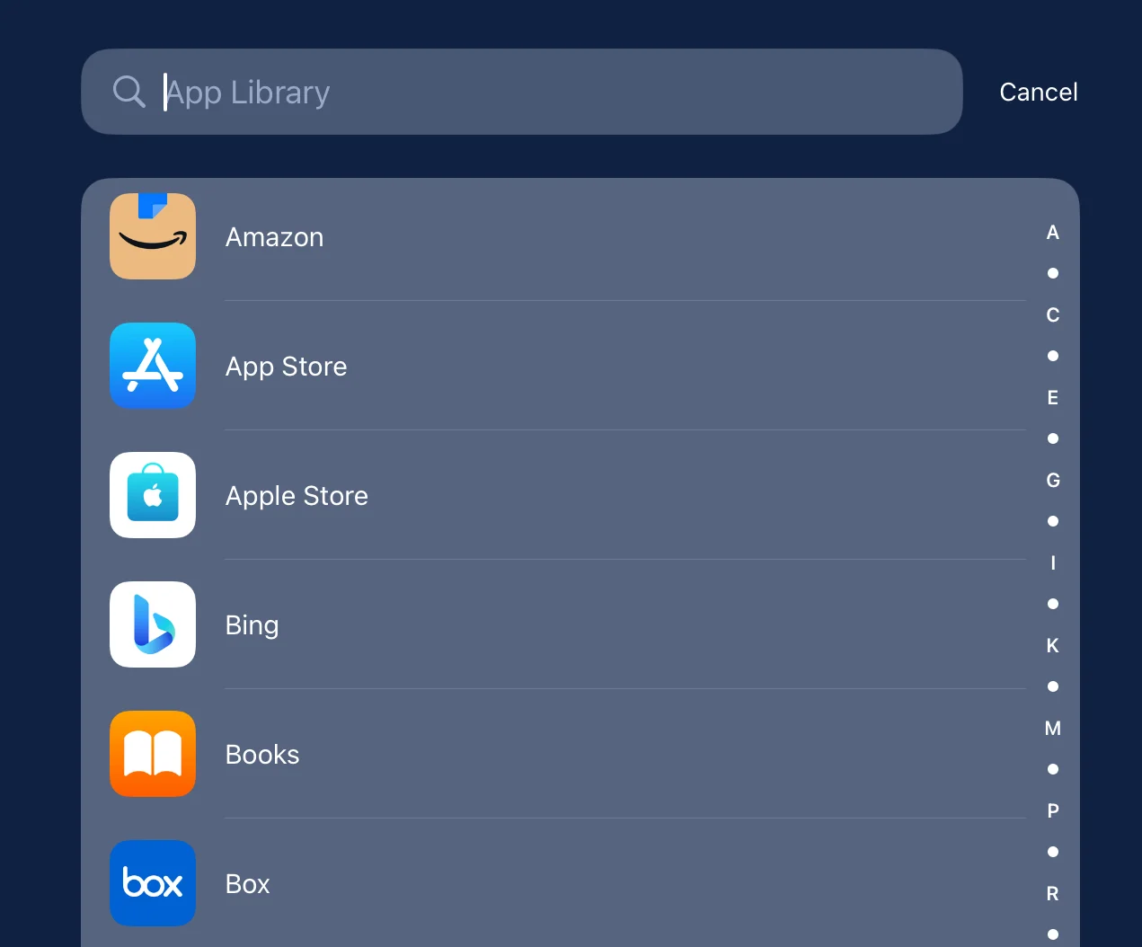 The iPad App Library search box