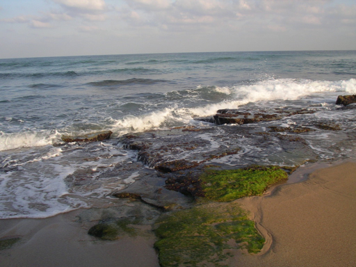 Mediterranean Sea, Israel